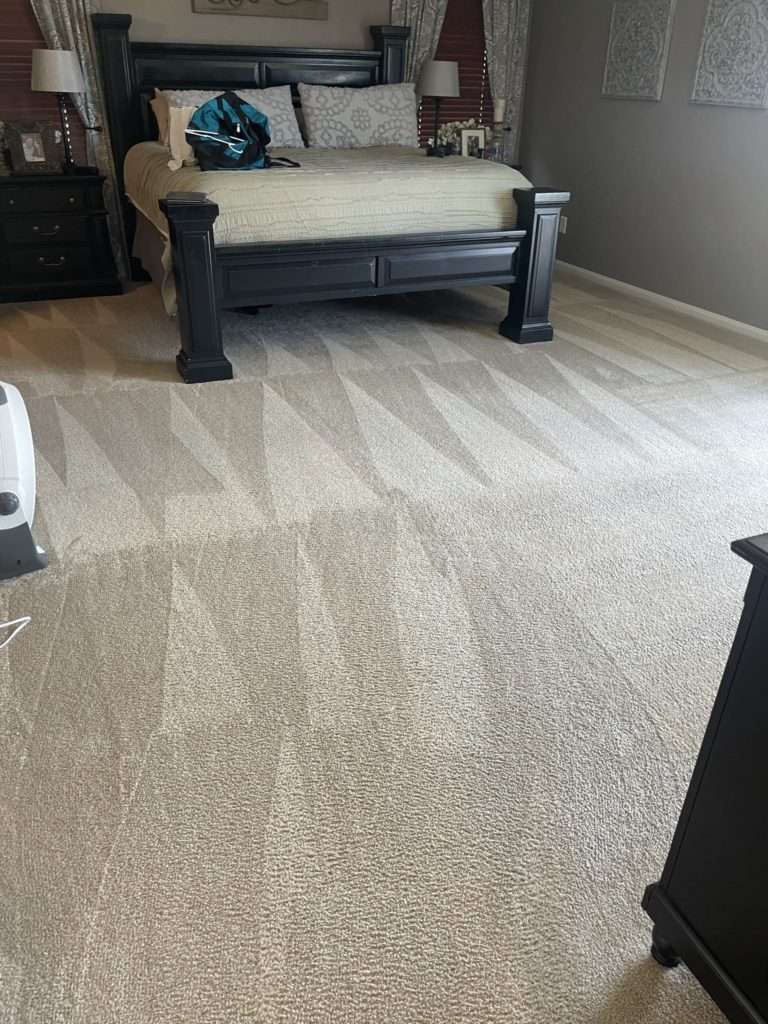 fresh bedroom carpet after carpet cleaning