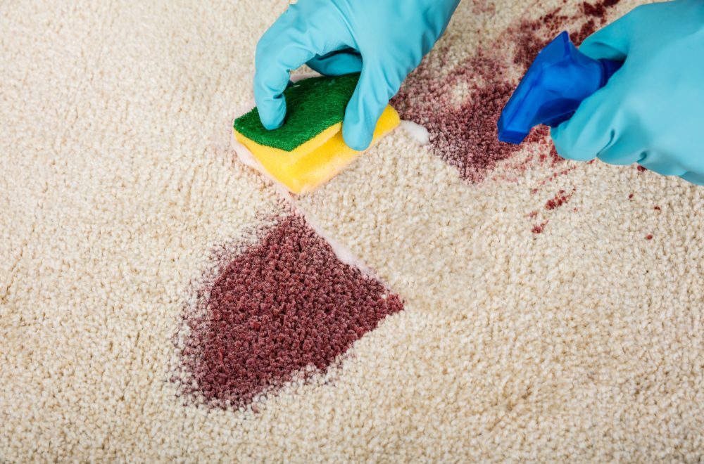 Carpet stain cleaning - person wiping carpet stain with sponge and cleaner